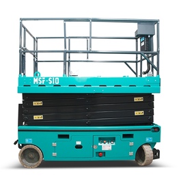 MSF-S10